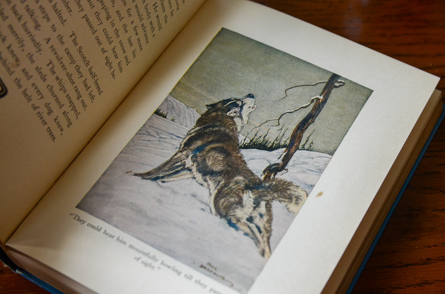 The Call of the Wild by Jack London / Illustrated by Paul Bransom / 1923