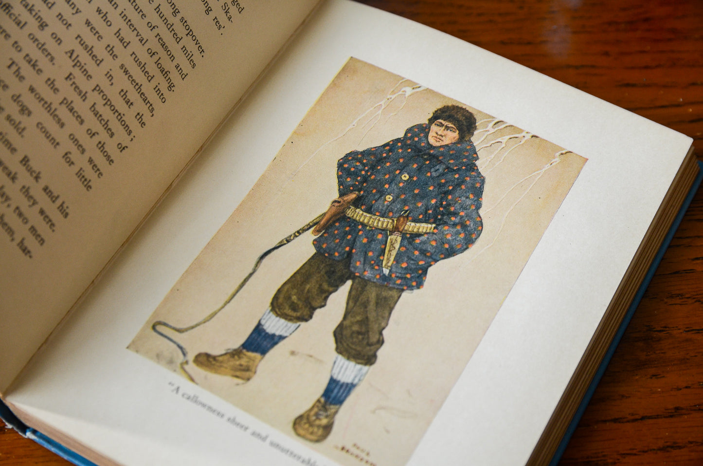 The Call of the Wild by Jack London / Illustrated by Paul Bransom / 1923