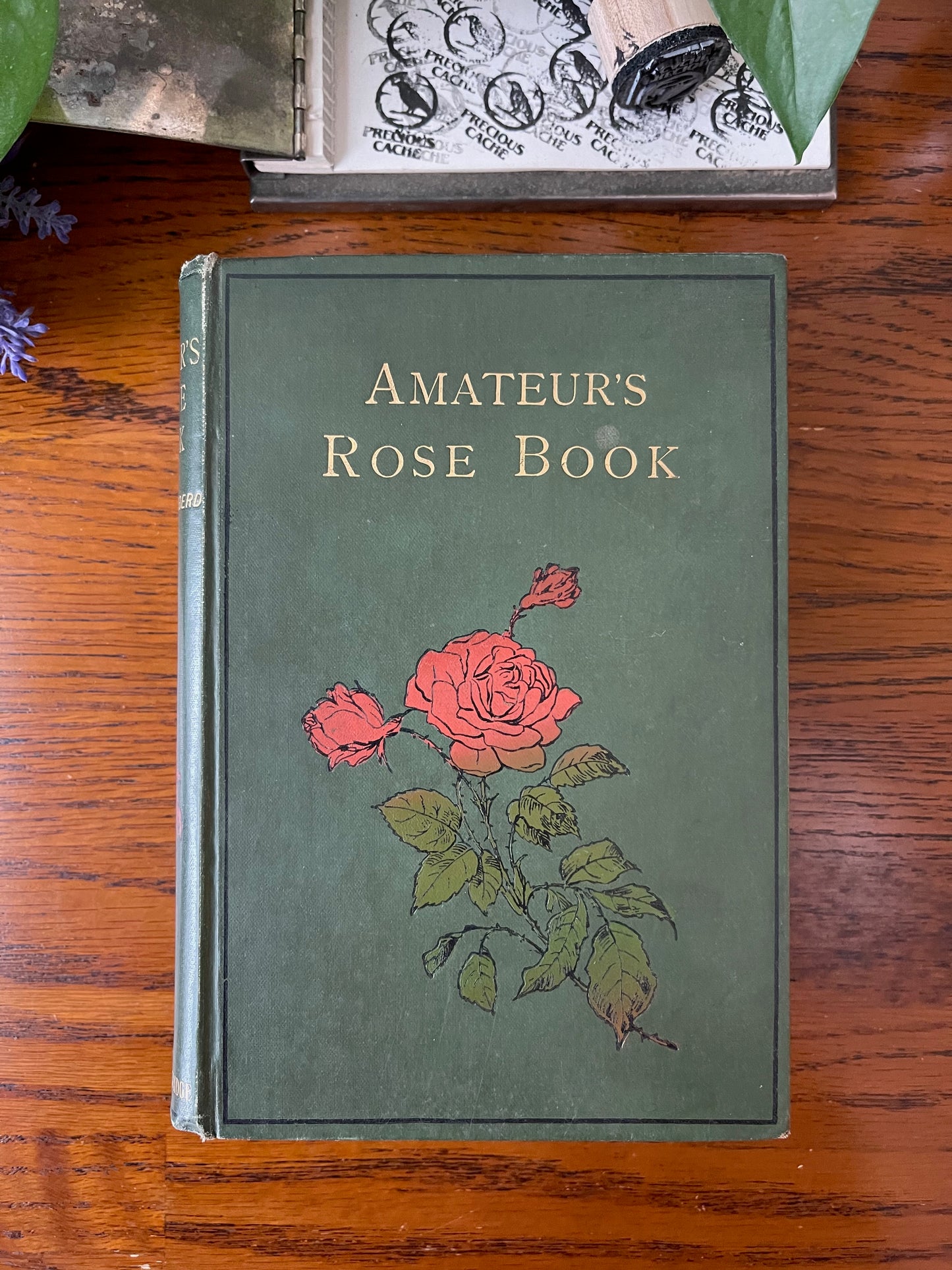 Rare Victorian Gardening Amateur's Rose Book / 1894 - Precious Cache