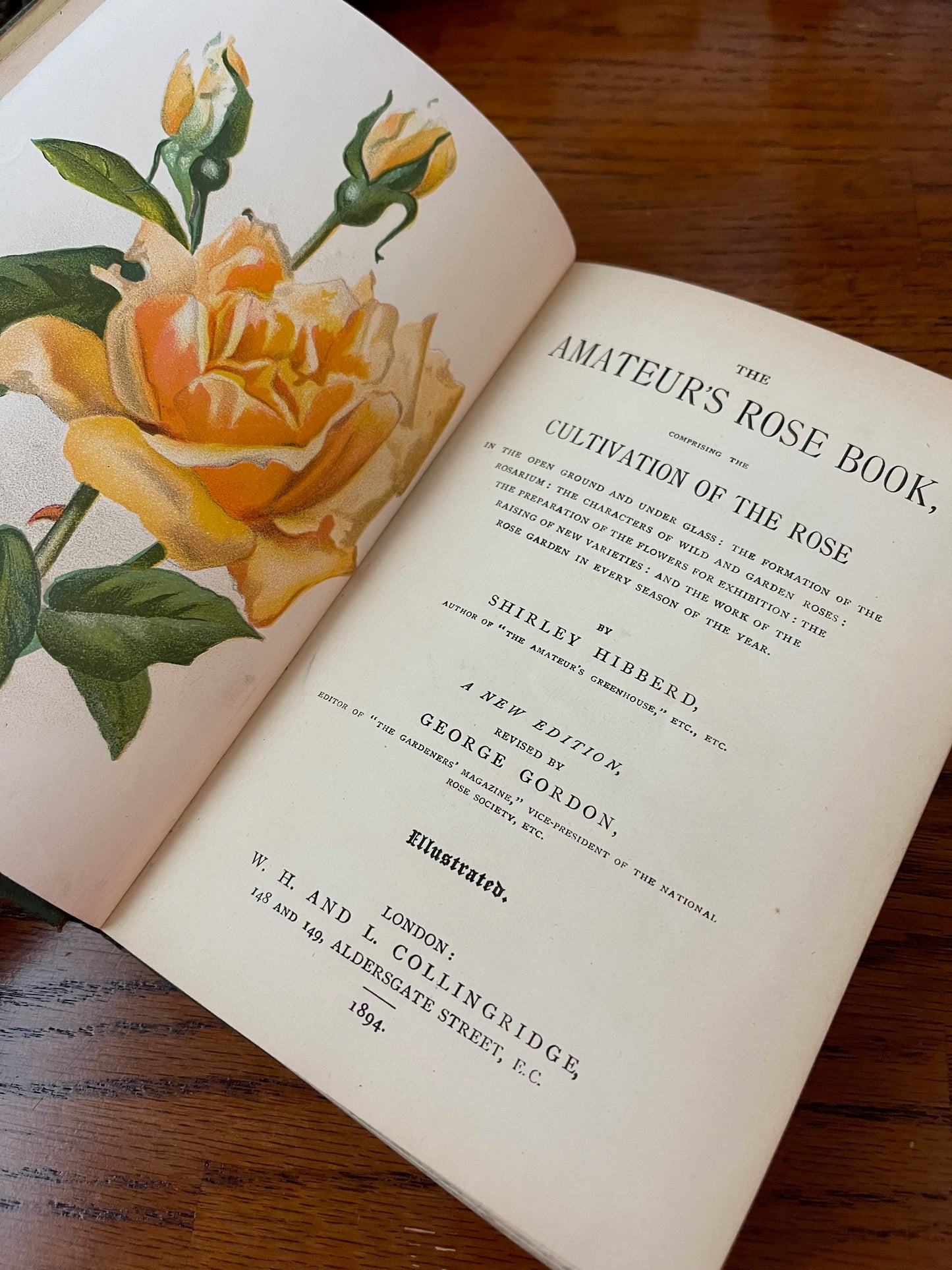 Rare Victorian Gardening Amateur's Rose Book / 1894 - Precious Cache