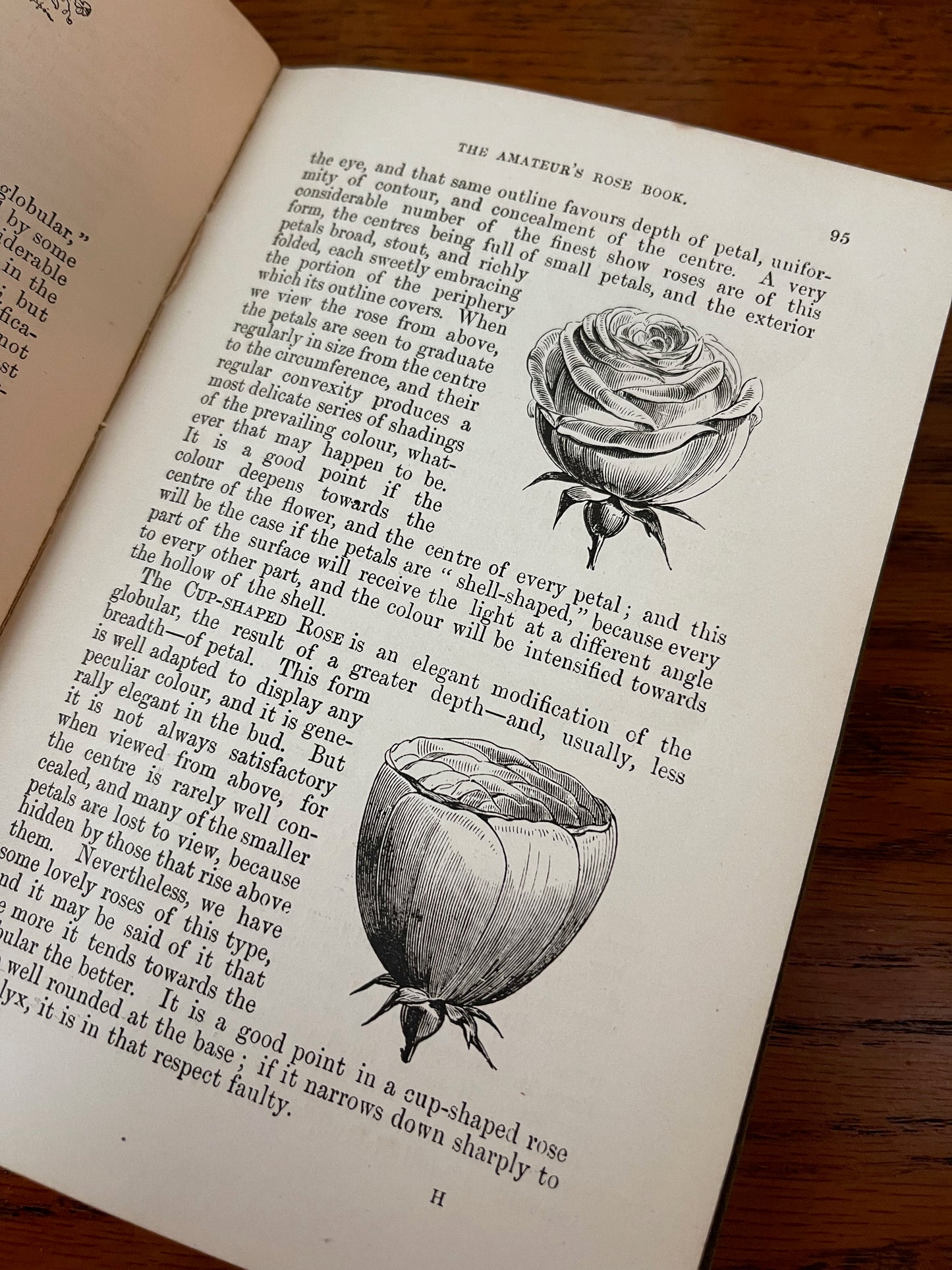 Rare Victorian Gardening Amateur's Rose Book / 1894 - Precious Cache