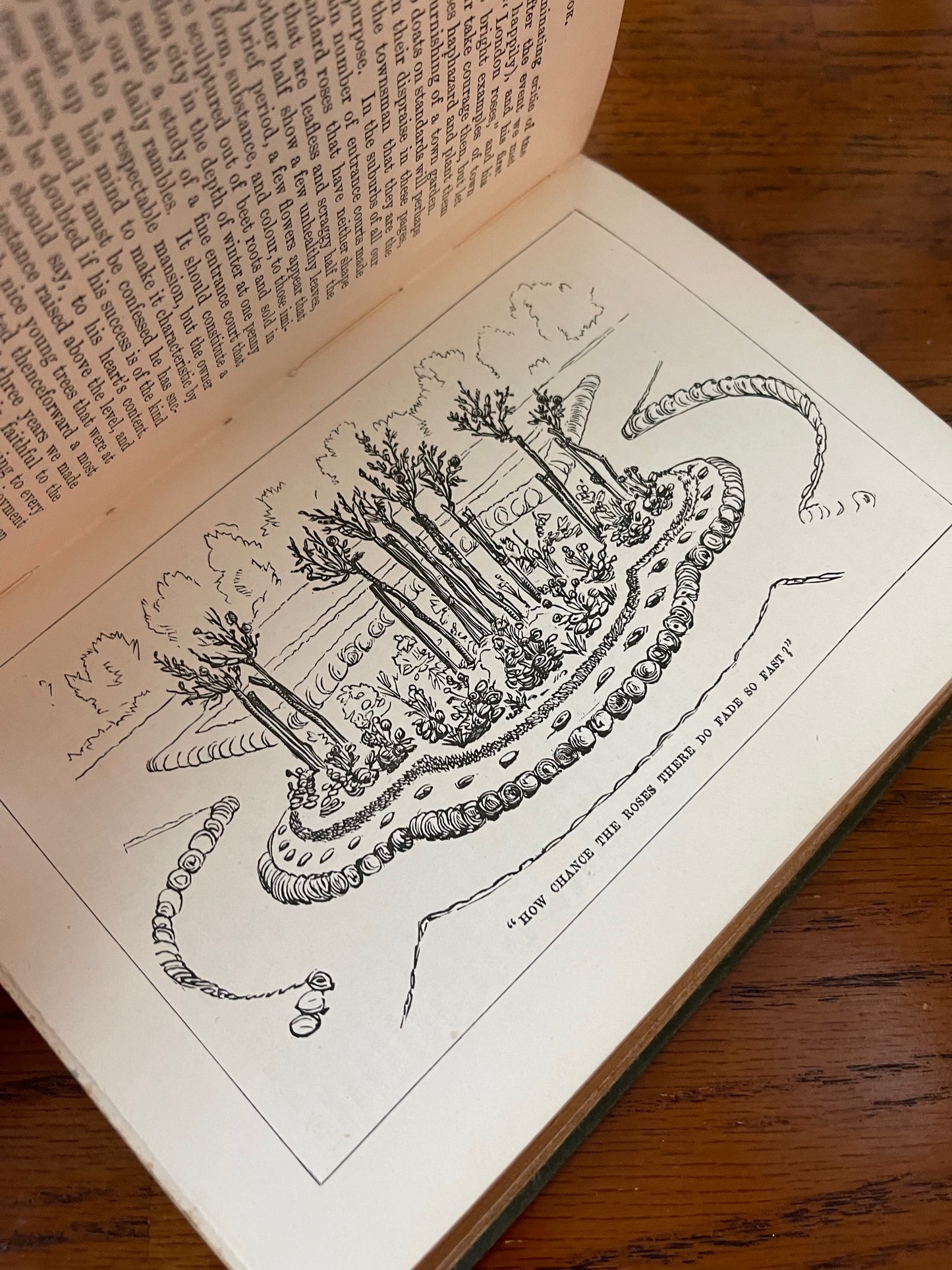 Rare Victorian Gardening Amateur's Rose Book / 1894 - Precious Cache