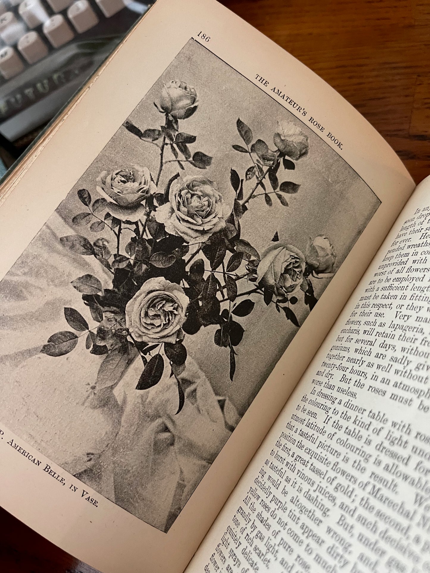 Rare Victorian Gardening Amateur's Rose Book / 1894 - Precious Cache