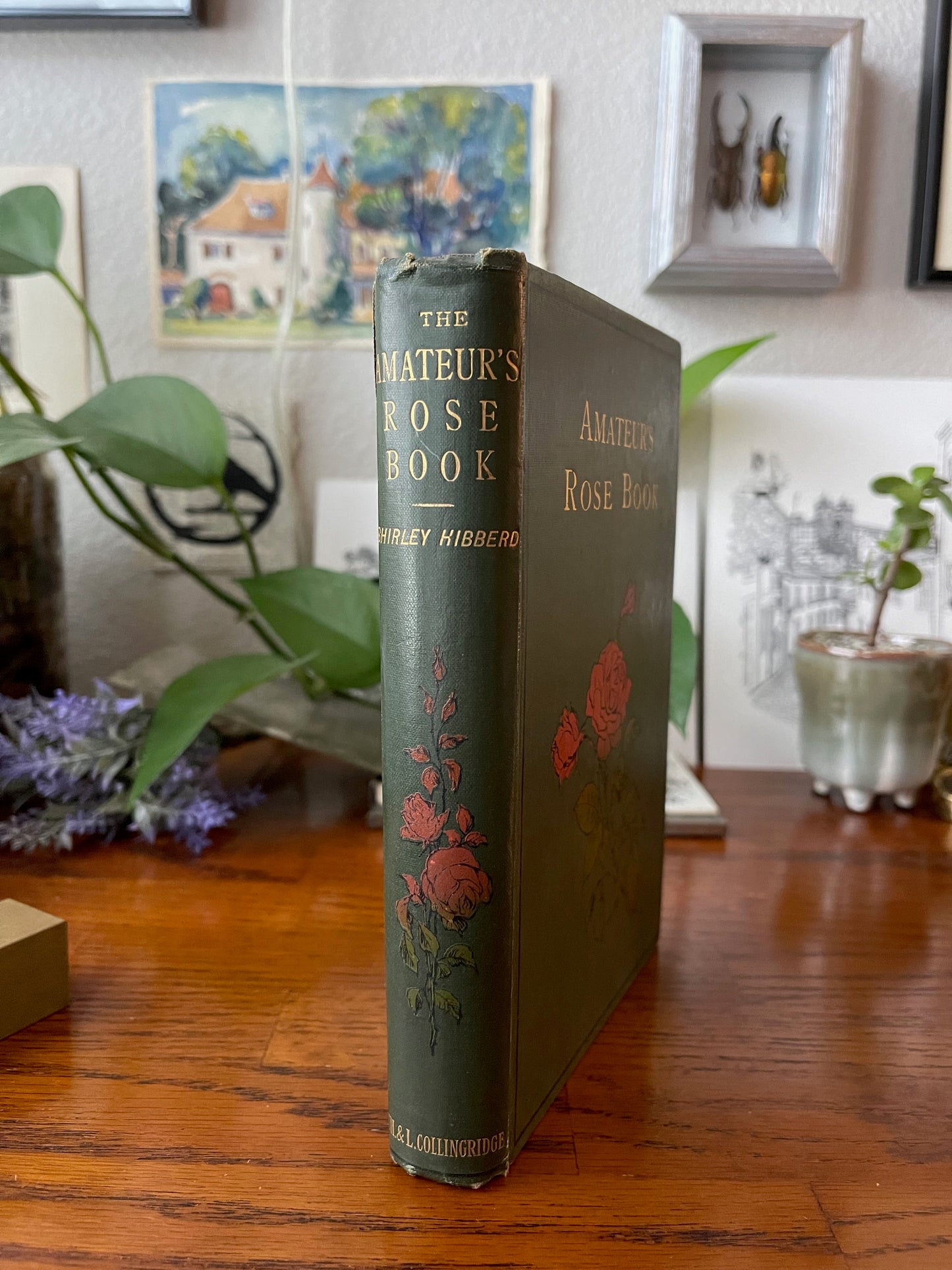 Rare Victorian Gardening Amateur's Rose Book / 1894 - Precious Cache