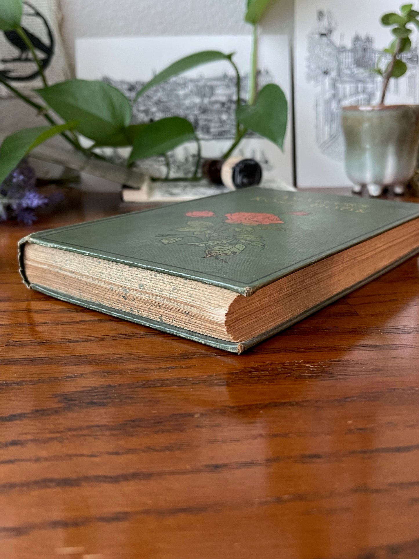 Rare Victorian Gardening Amateur's Rose Book / 1894 - Precious Cache