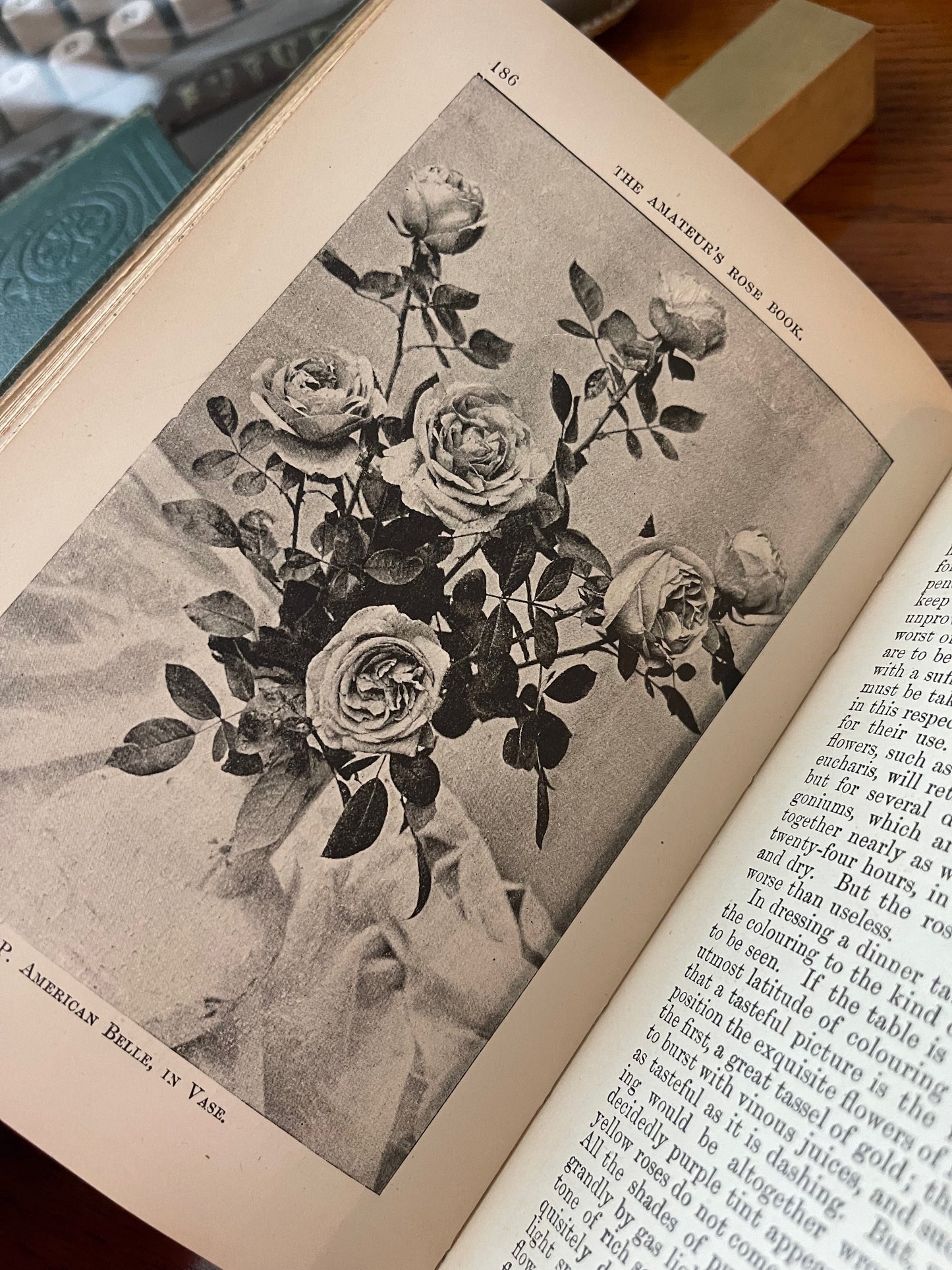 Rare Victorian Gardening Amateur's Rose Book / 1894 - Precious Cache