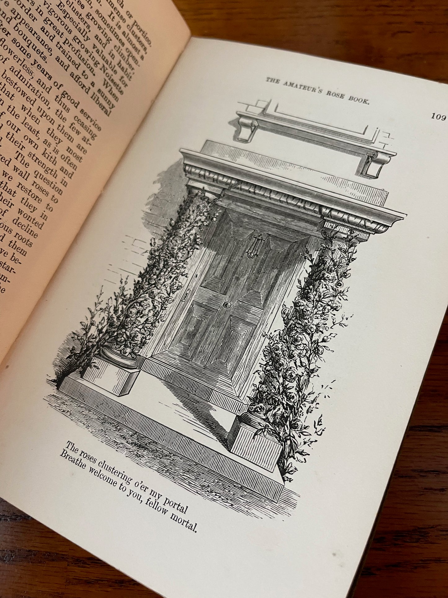 Rare Victorian Gardening Amateur's Rose Book / 1894 - Precious Cache