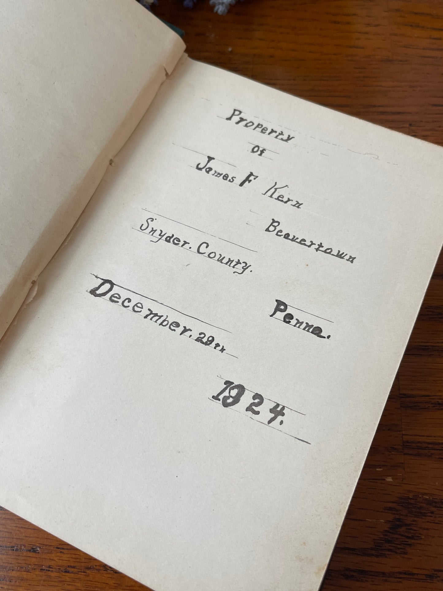 Mysteries Of Beekeeping Explained / 1918 - Precious Cache