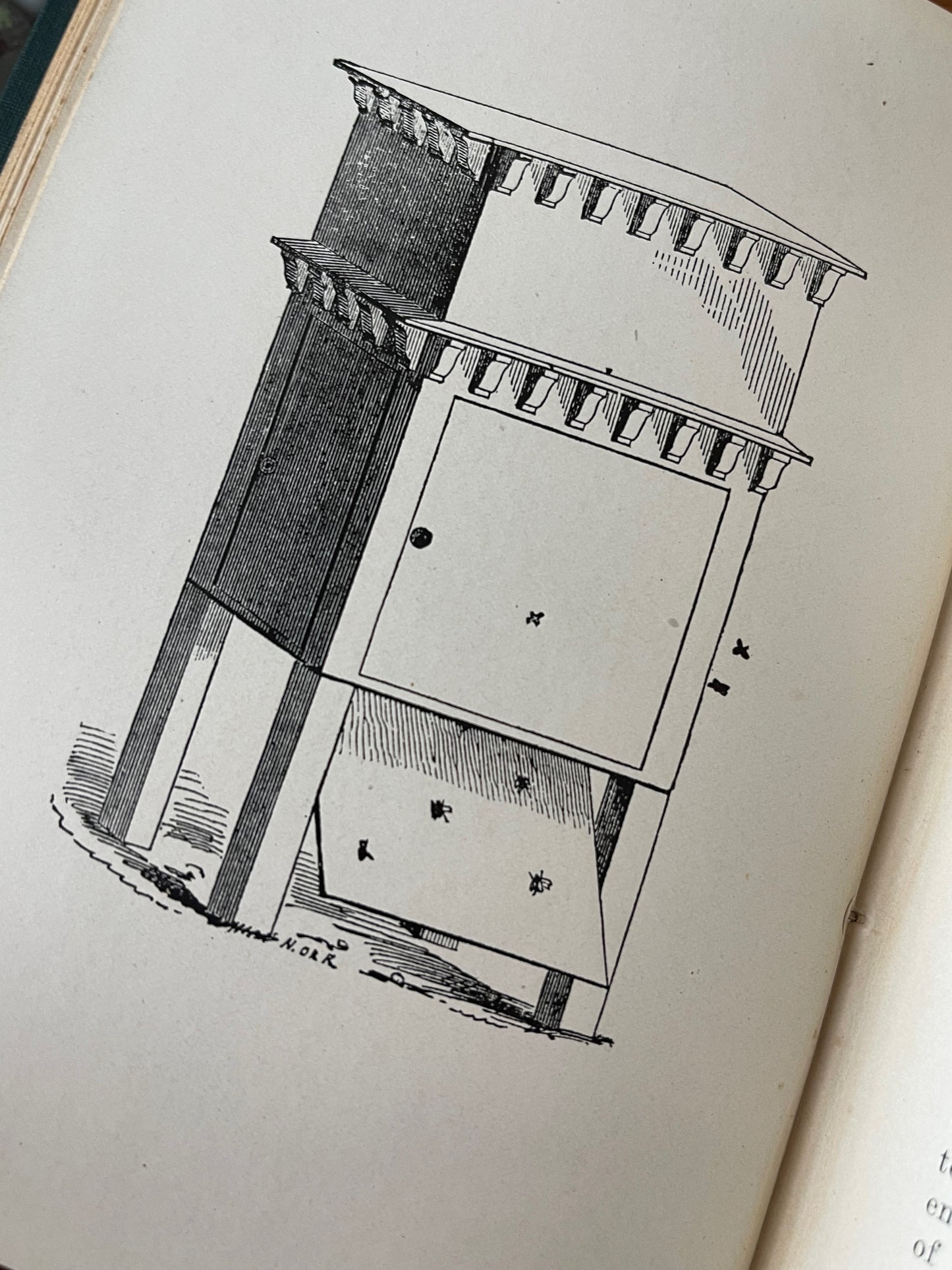 Mysteries Of Beekeeping Explained / 1918 - Precious Cache