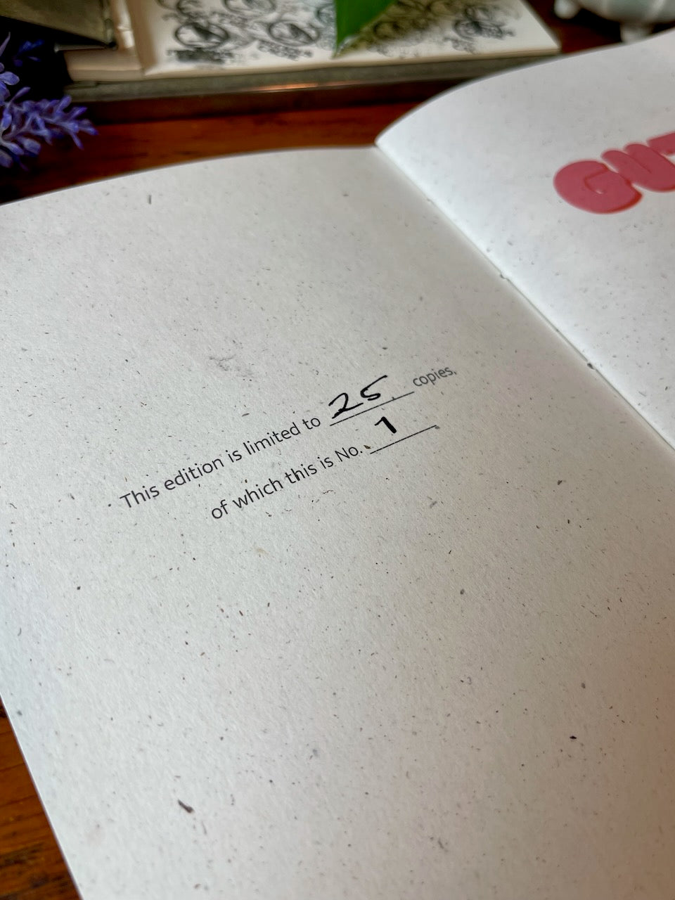 Gutsy / The Invisible Disease / Zine