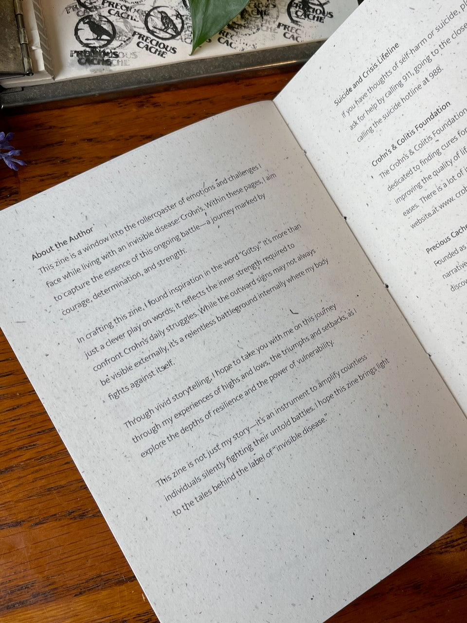 Gutsy / The Invisible Disease / Zine