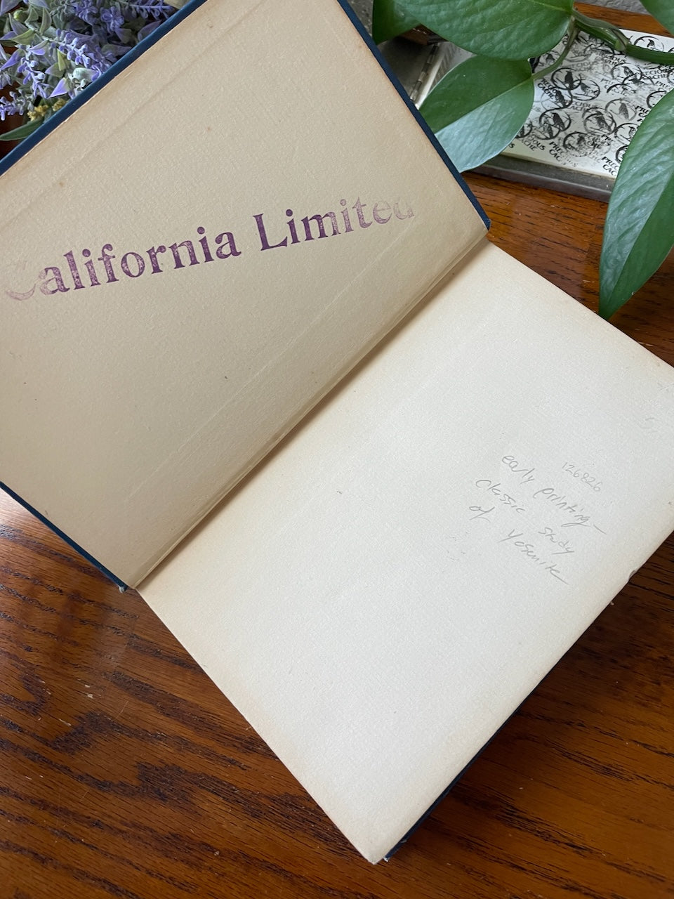 Yosemite Trails: Camp and Pack-Train in the Yosemite region of the Sierra Nevada