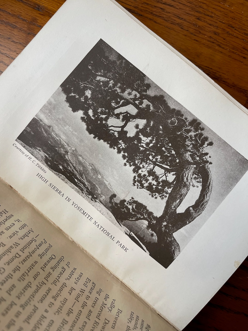 Our American Wonderland