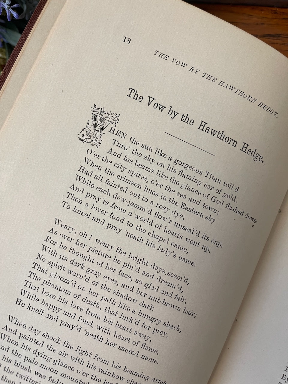 Yo Semite and Other Poems