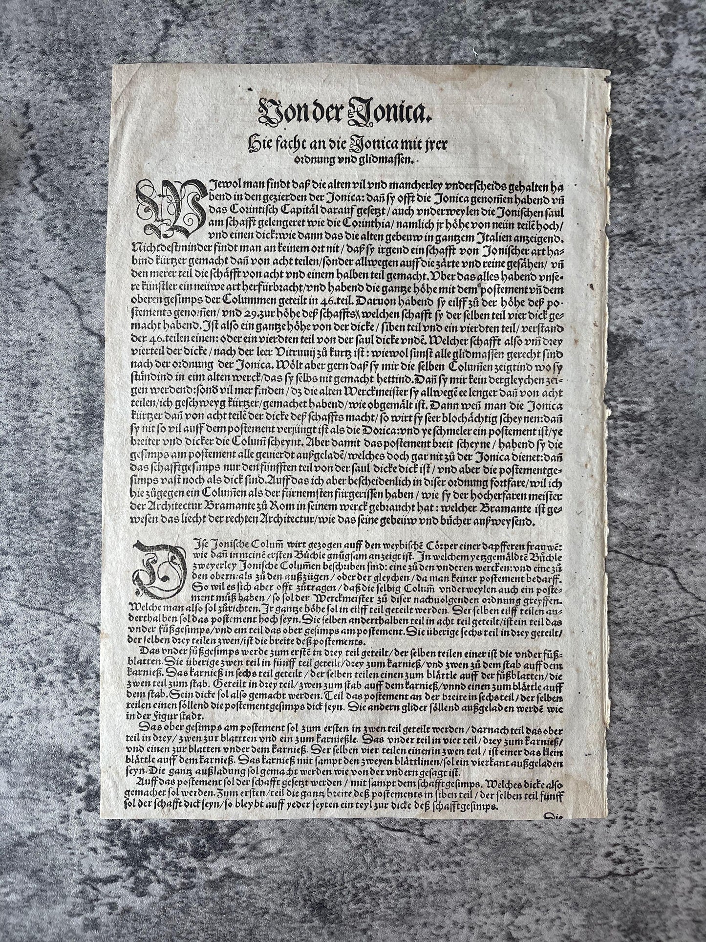 Woodcut Leaf Architecture by Hans Blum / c1580 - Precious Cache