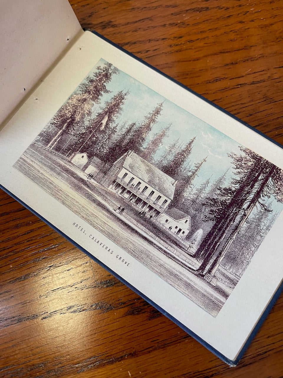 The Yosemite Valley / Pictorial Guide Book / n.d. 1870