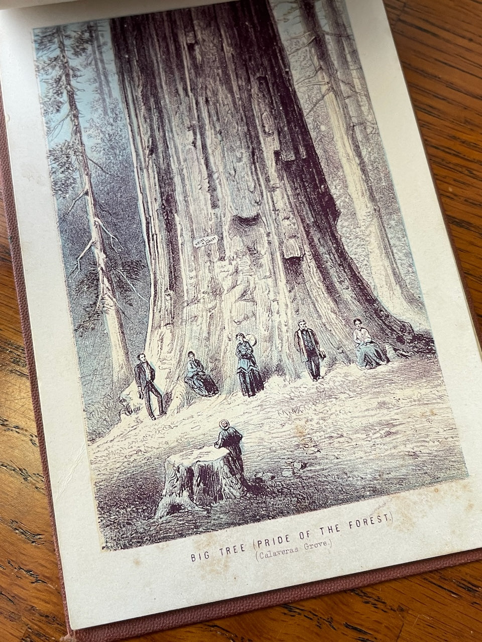 The Yosemite Valley / Pictorial Guide Book / n.d. 1870