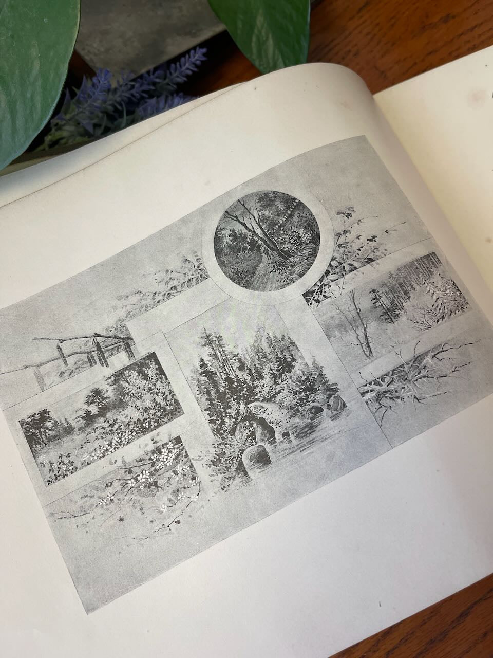 The Poet's Year / 1890