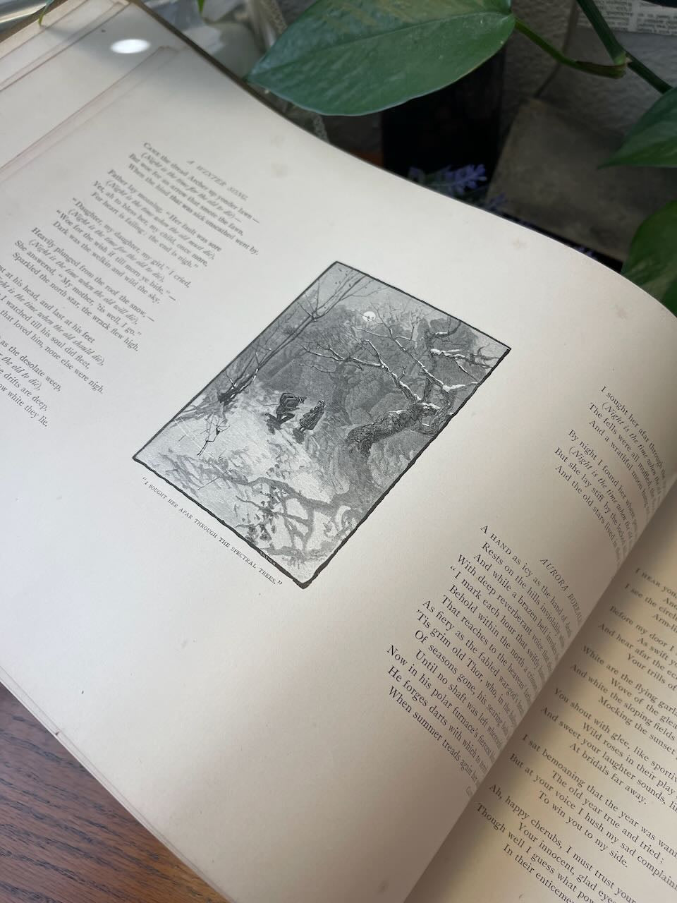 The Poet's Year / 1890