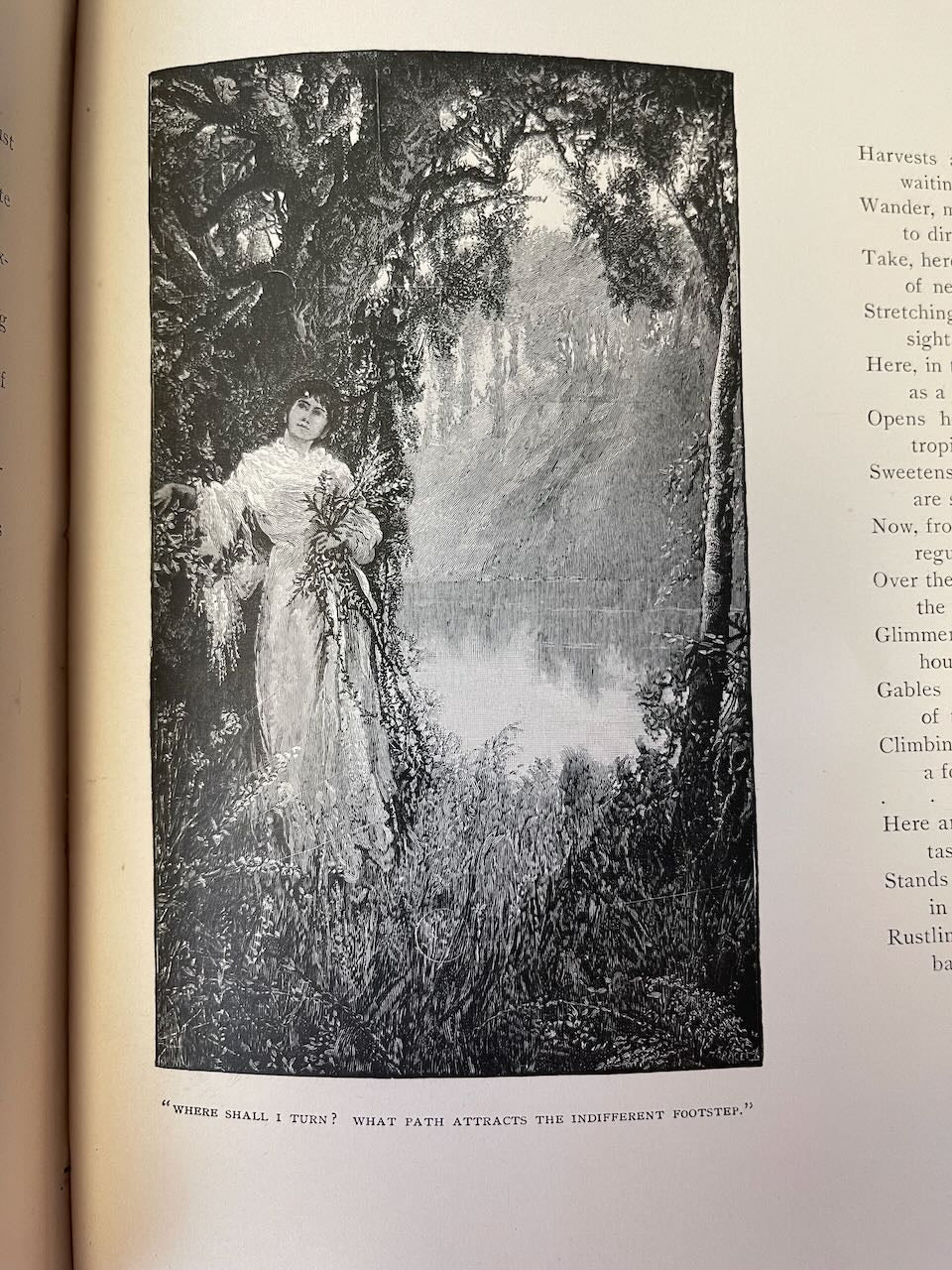 The Poet's Year / 1890