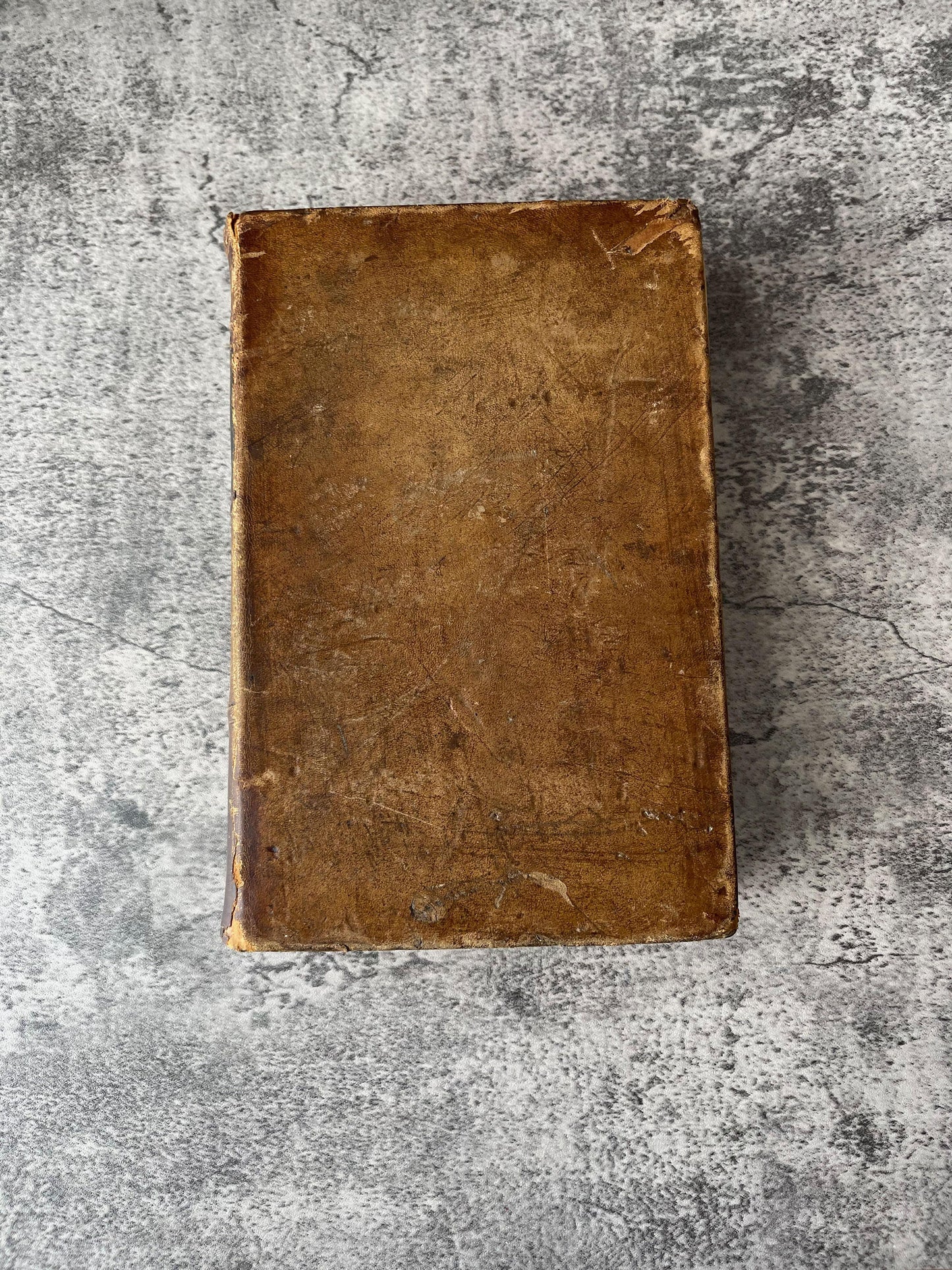 Gray's Anatomy Descriptive and Surgical / Fifth Edition / 1870 - Precious Cache