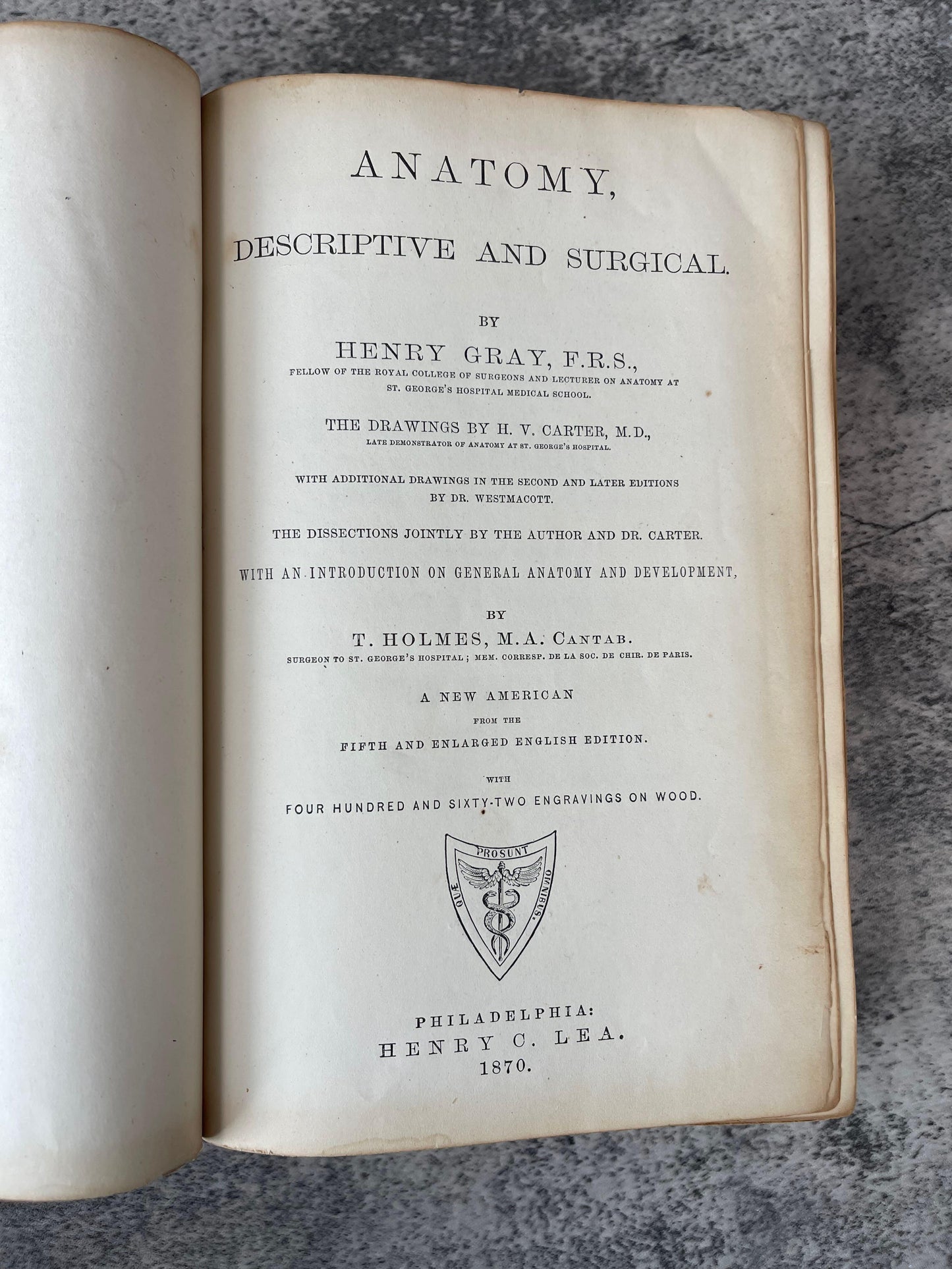 Gray's Anatomy Descriptive and Surgical / Fifth Edition / 1870 - Precious Cache