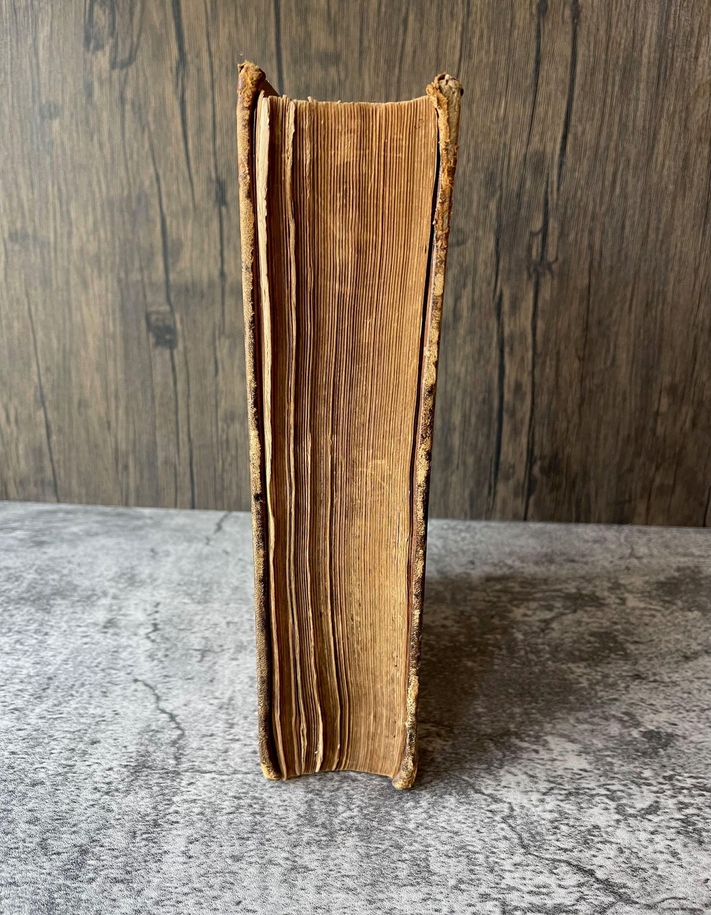 Gray's Anatomy Descriptive and Surgical / Fifth Edition / 1870 - Precious Cache