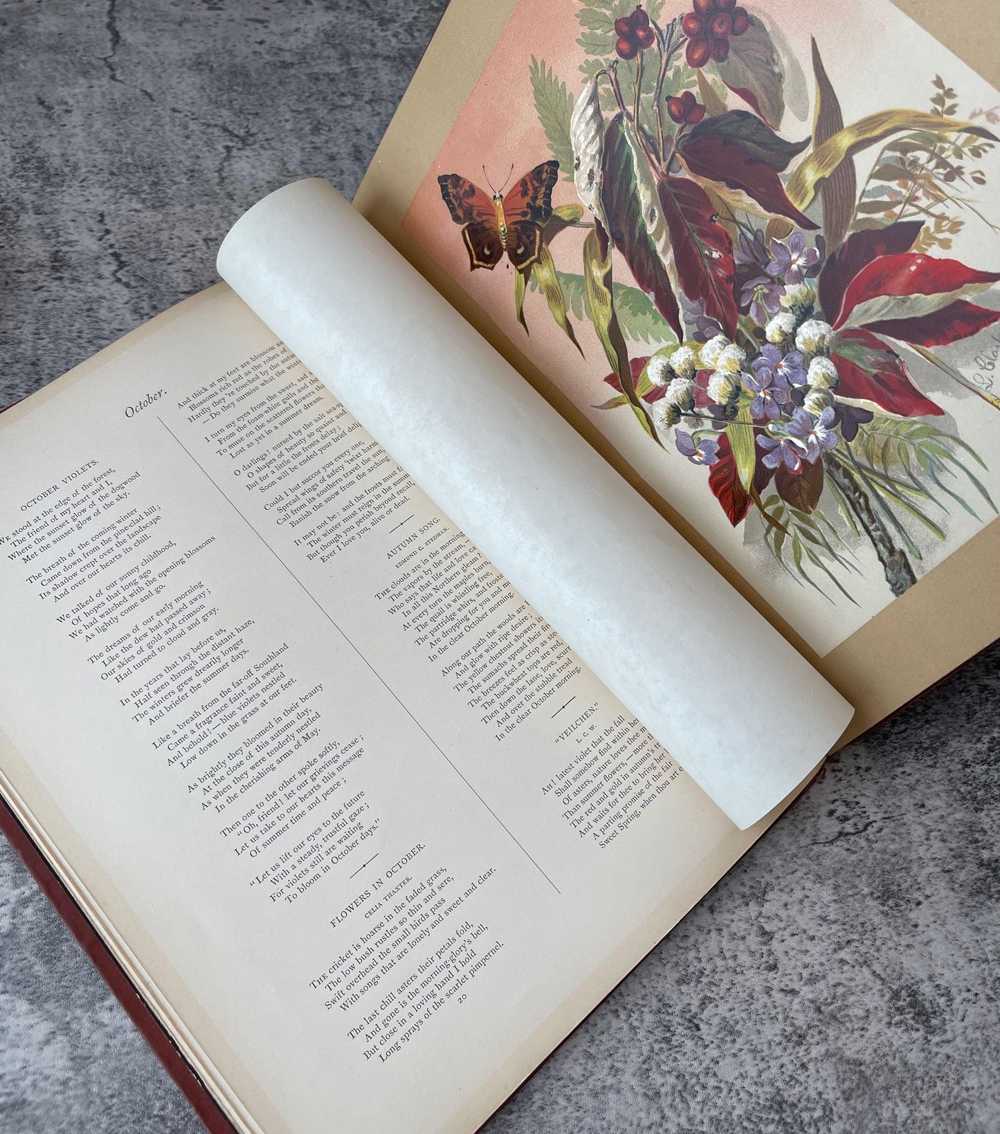 Indian Summer Autumn Poems and Sketches / First Edition / 1881 - Precious Cache