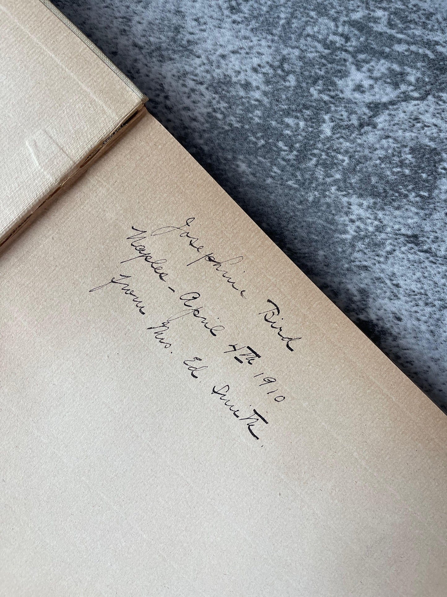 The Light Side of Egypt / 1st Edition / 1908 - Precious Cache