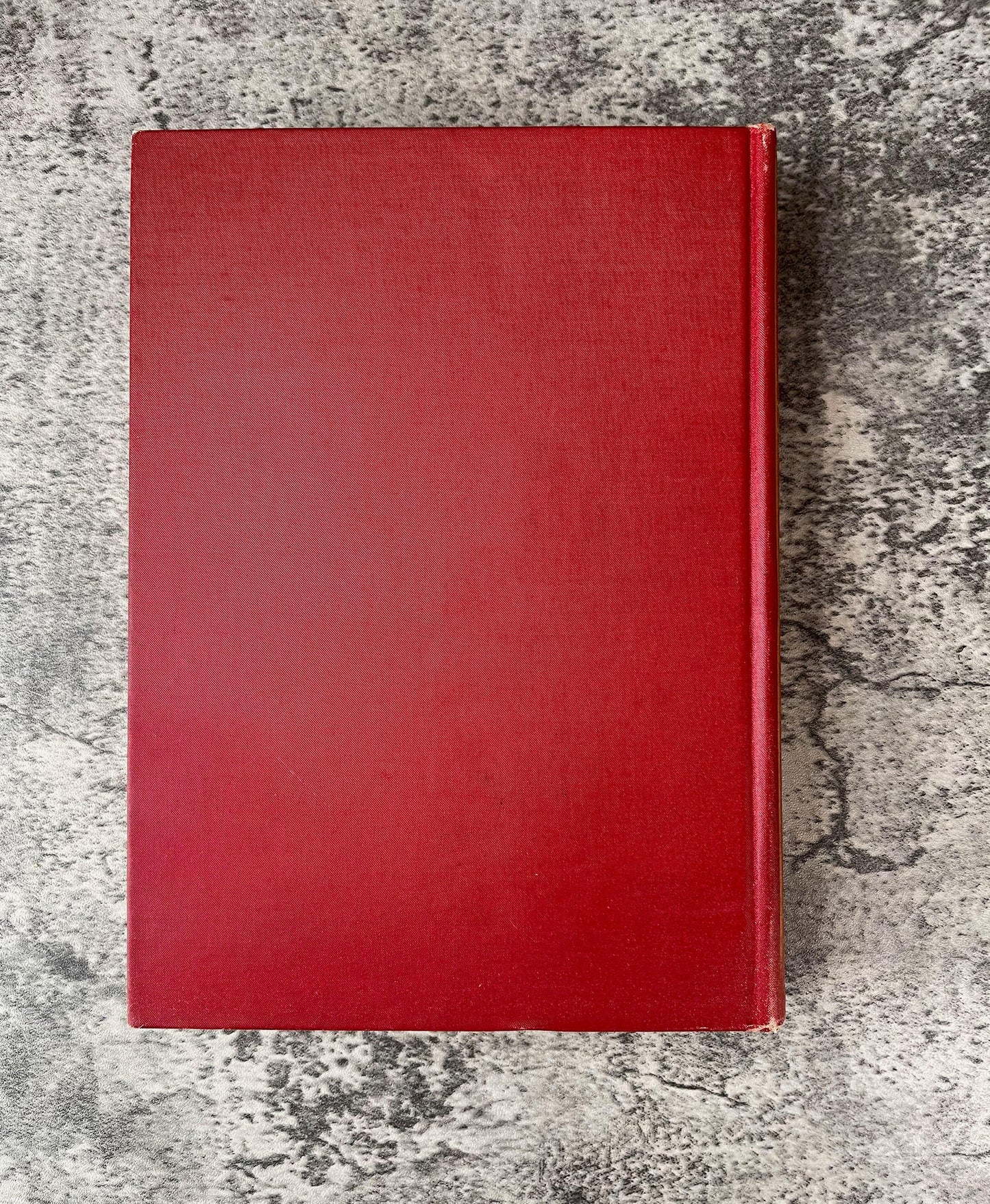 The Golden Days of the Renaissance in Rome / 1906 - Precious Cache