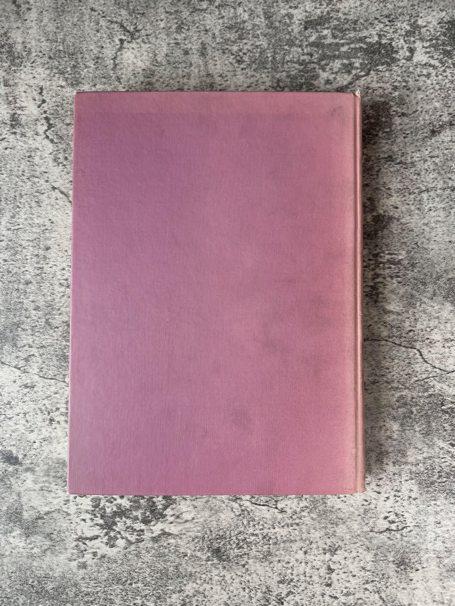 The Lace Book / First Edition / 1904 - Precious Cache