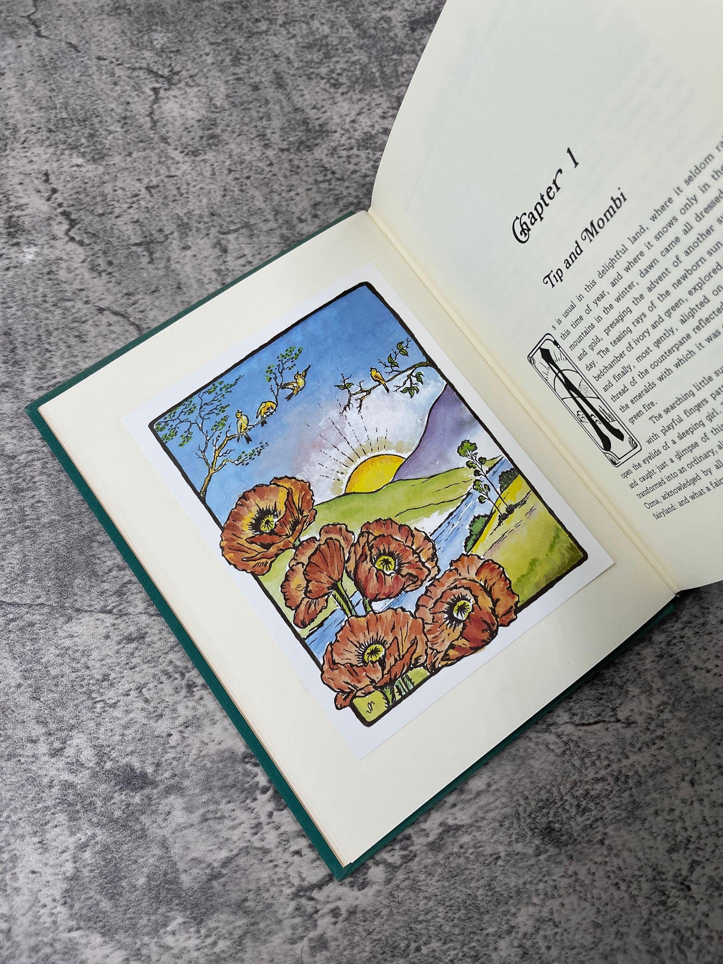 The Mysterious Chronicles of OZ / Signed / 1st Printing / 1985 - Precious Cache