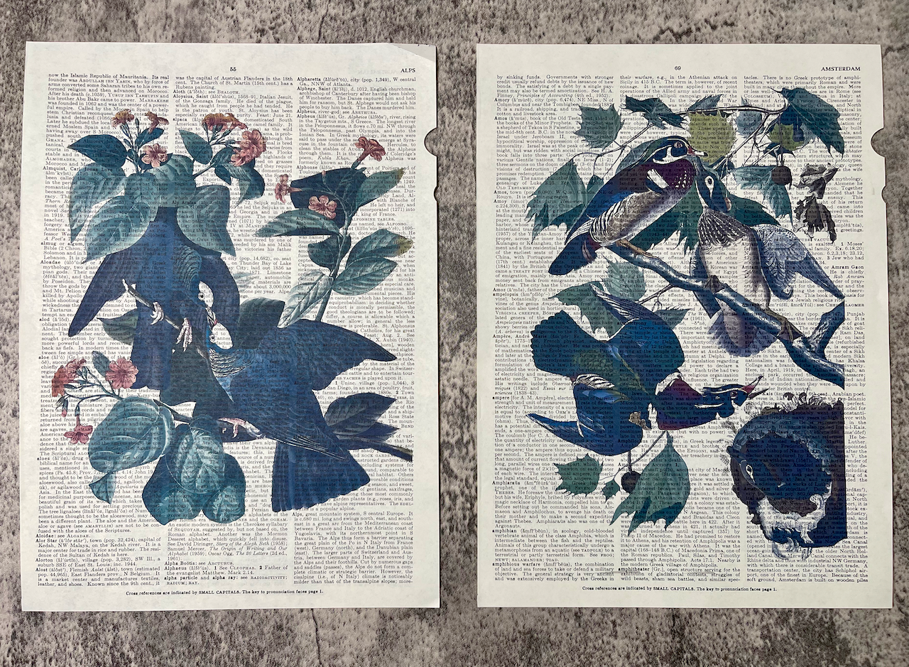 Encyclopedia Prints / John James Audubon / c1833 Replicas - Precious Cache