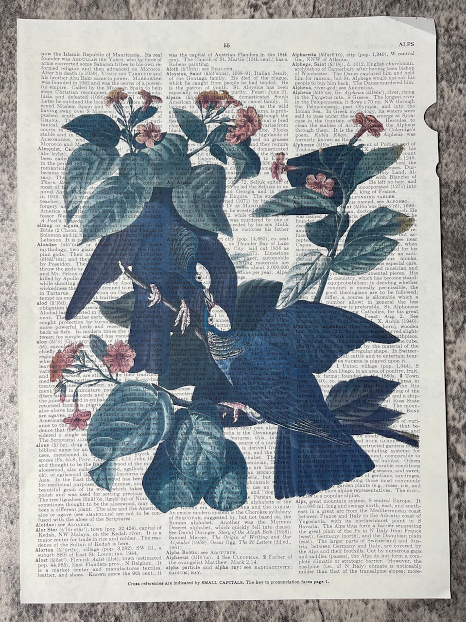 Encyclopedia Prints / John James Audubon / c1833 Replicas - Precious Cache