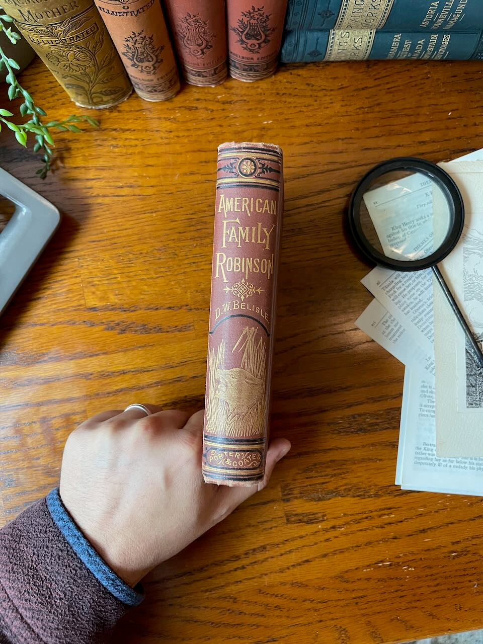 The American Family Robinson or the Adventures of a Family / 1877 - Precious Cache