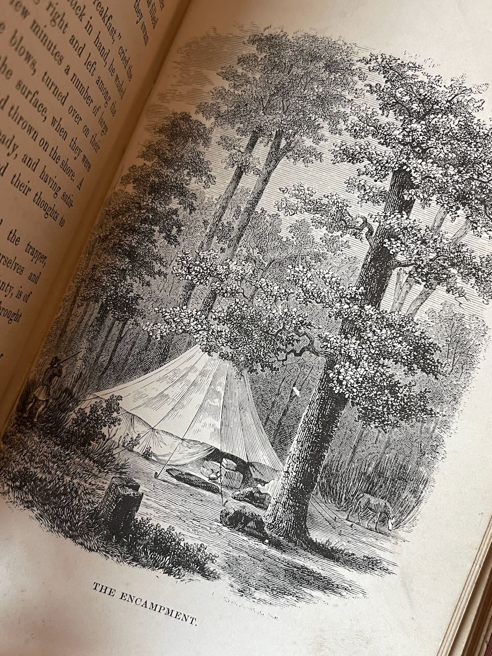 The American Family Robinson or the Adventures of a Family / 1877 - Precious Cache