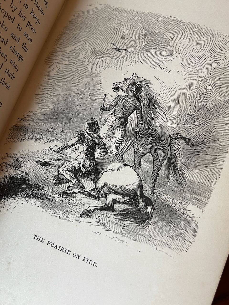 The American Family Robinson or the Adventures of a Family / 1877 - Precious Cache