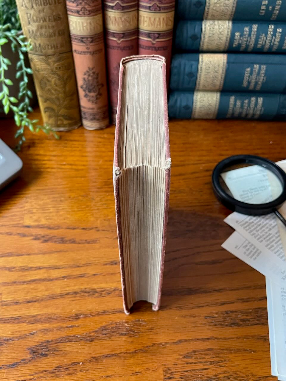 The American Family Robinson or the Adventures of a Family / 1877 - Precious Cache