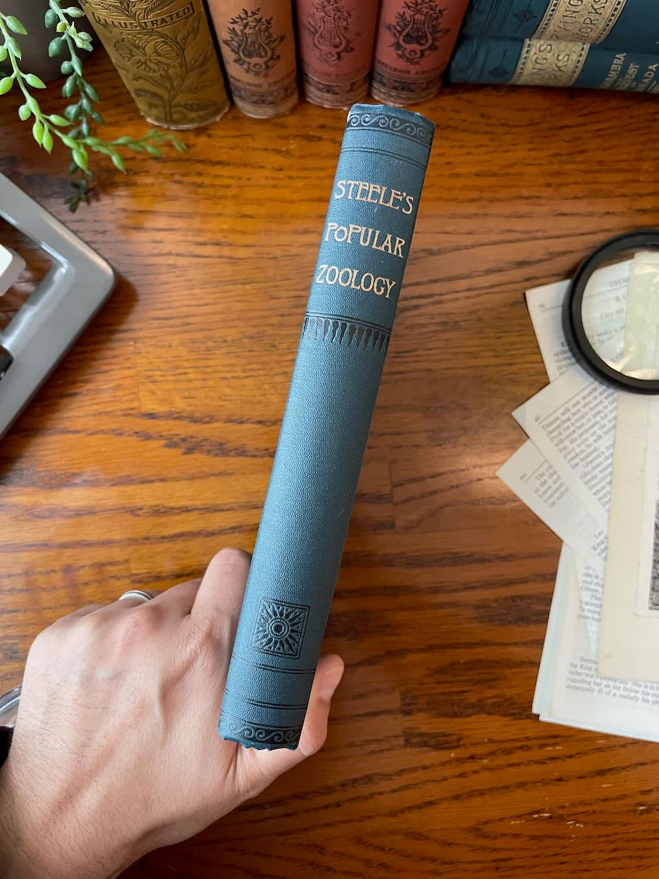 Popular Zoology / Chautauqua Edition / ca. 1888 - Precious Cache