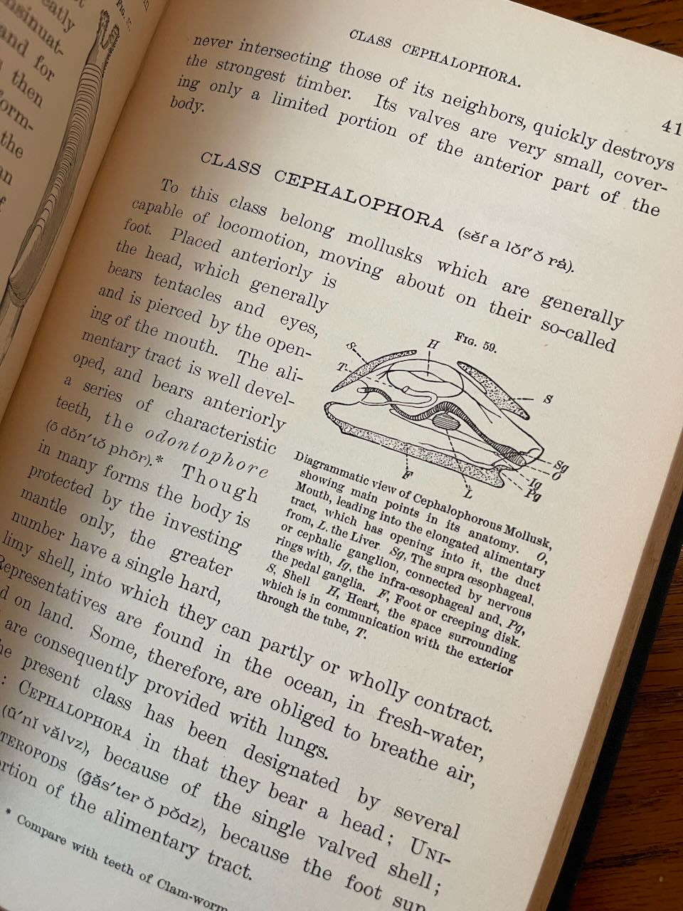 Popular Zoology / Chautauqua Edition / ca. 1888 - Precious Cache