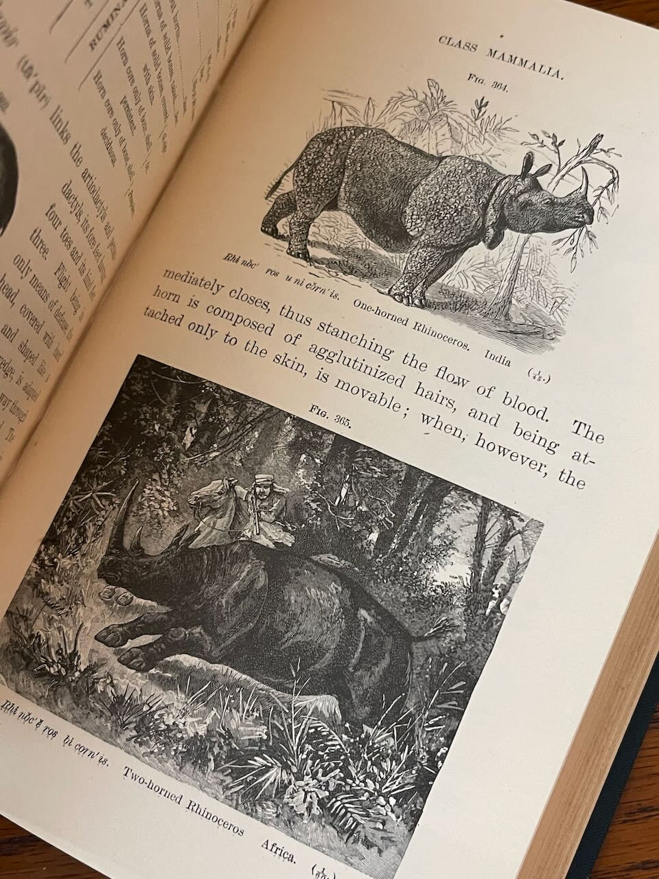 Popular Zoology / Chautauqua Edition / ca. 1888 - Precious Cache
