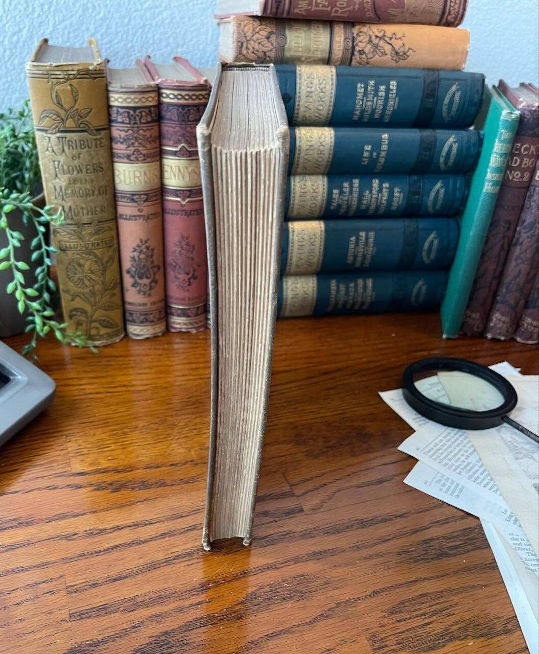 The Knockabout Club in the Everglades / 1887 - Precious Cache