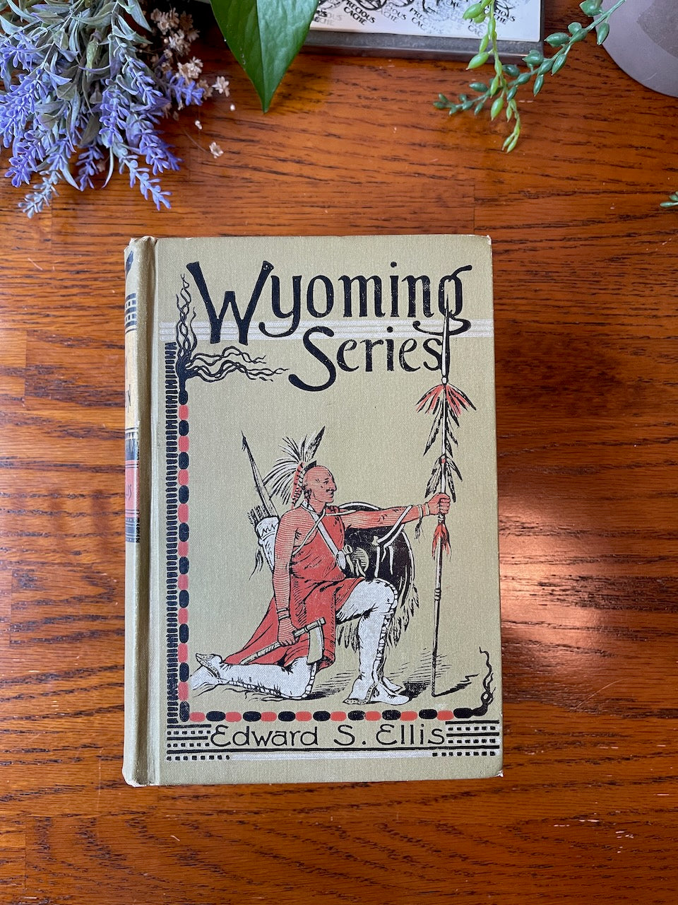 Storm Mountain Wyoming Series / 1889 - Precious Cache