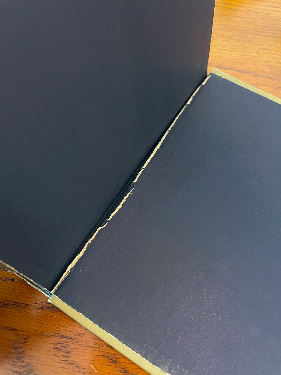 Storm Mountain Wyoming Series / 1889 - Precious Cache