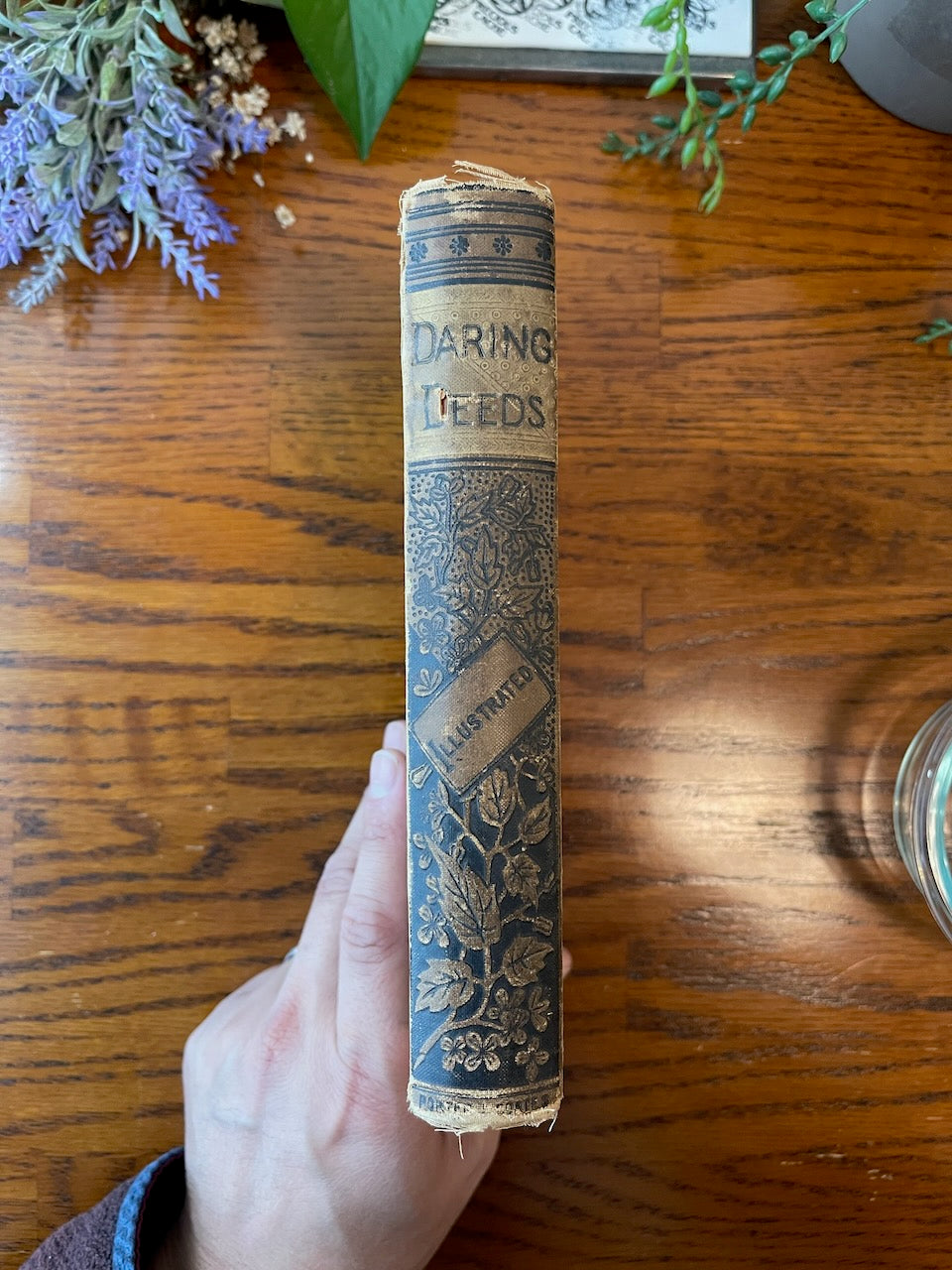Daring Deeds of American Heroes / ca. 1885 - Precious Cache