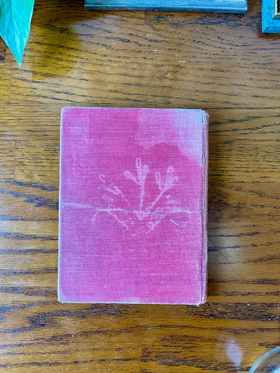 Through the Looking-Glass / 43 color illustrations / 1899 - Precious Cache