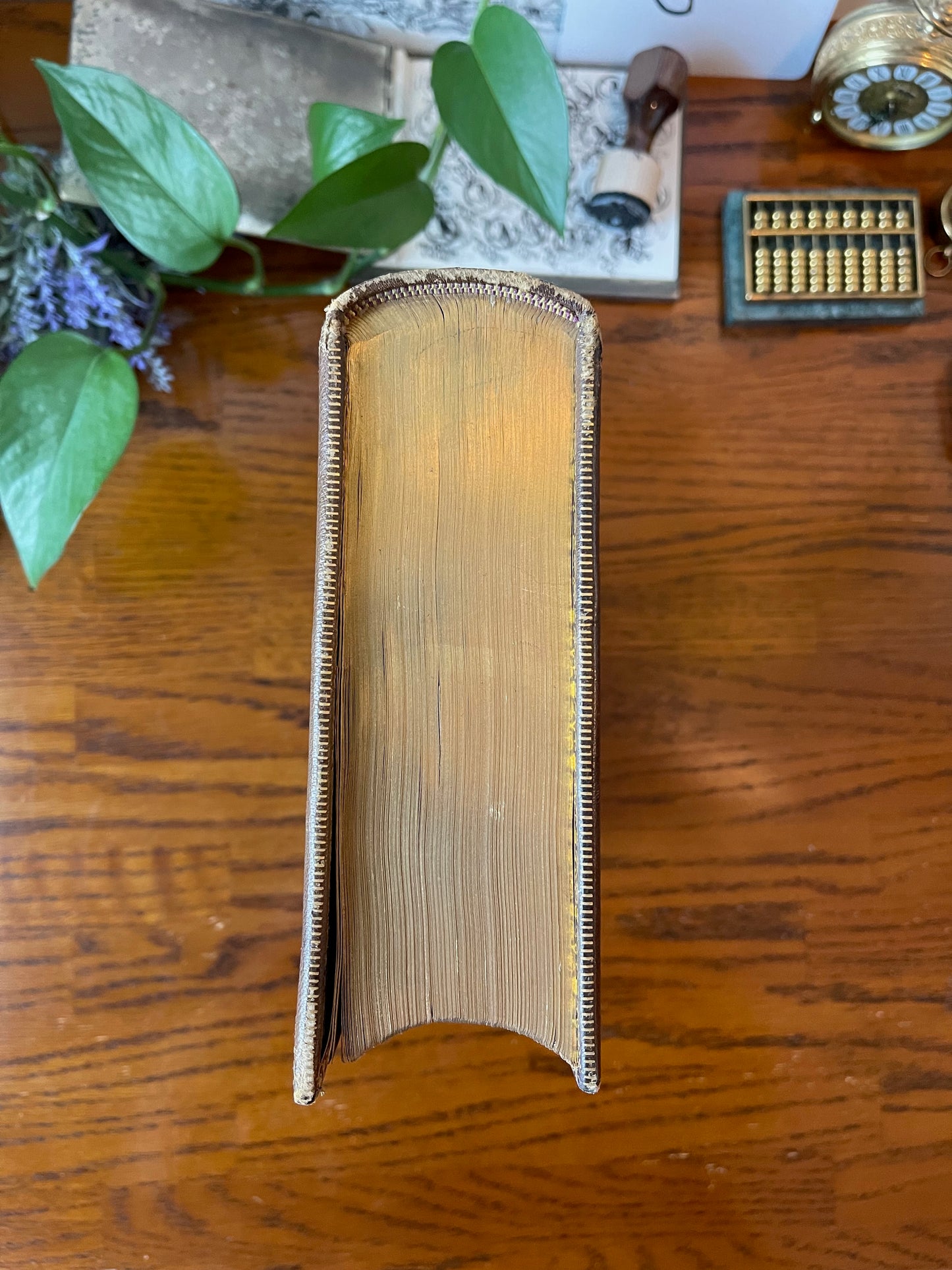 Paradise Lost / Leather Binding / 1868 - Precious Cache