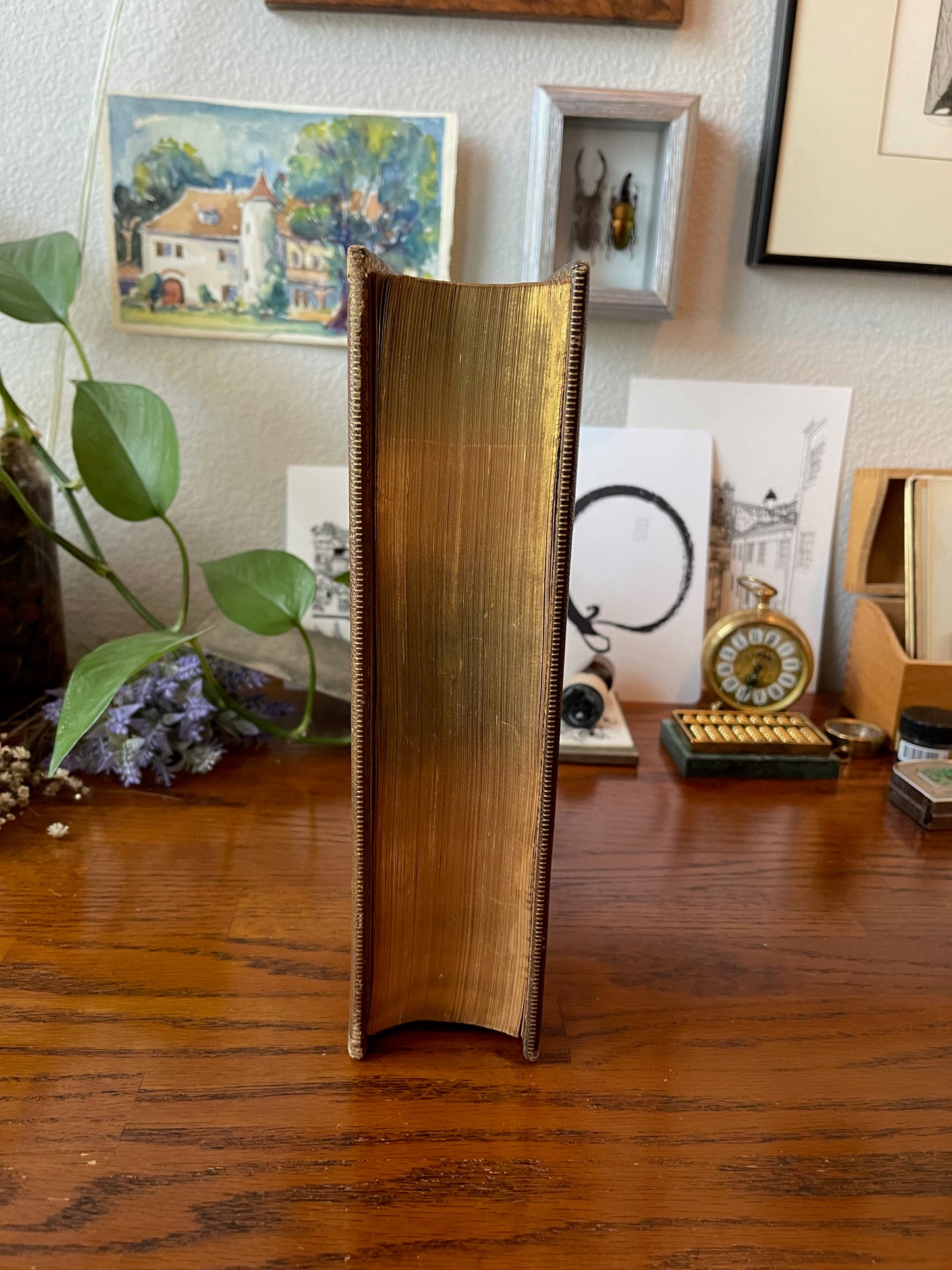 Paradise Lost / Leather Binding / 1868 - Precious Cache
