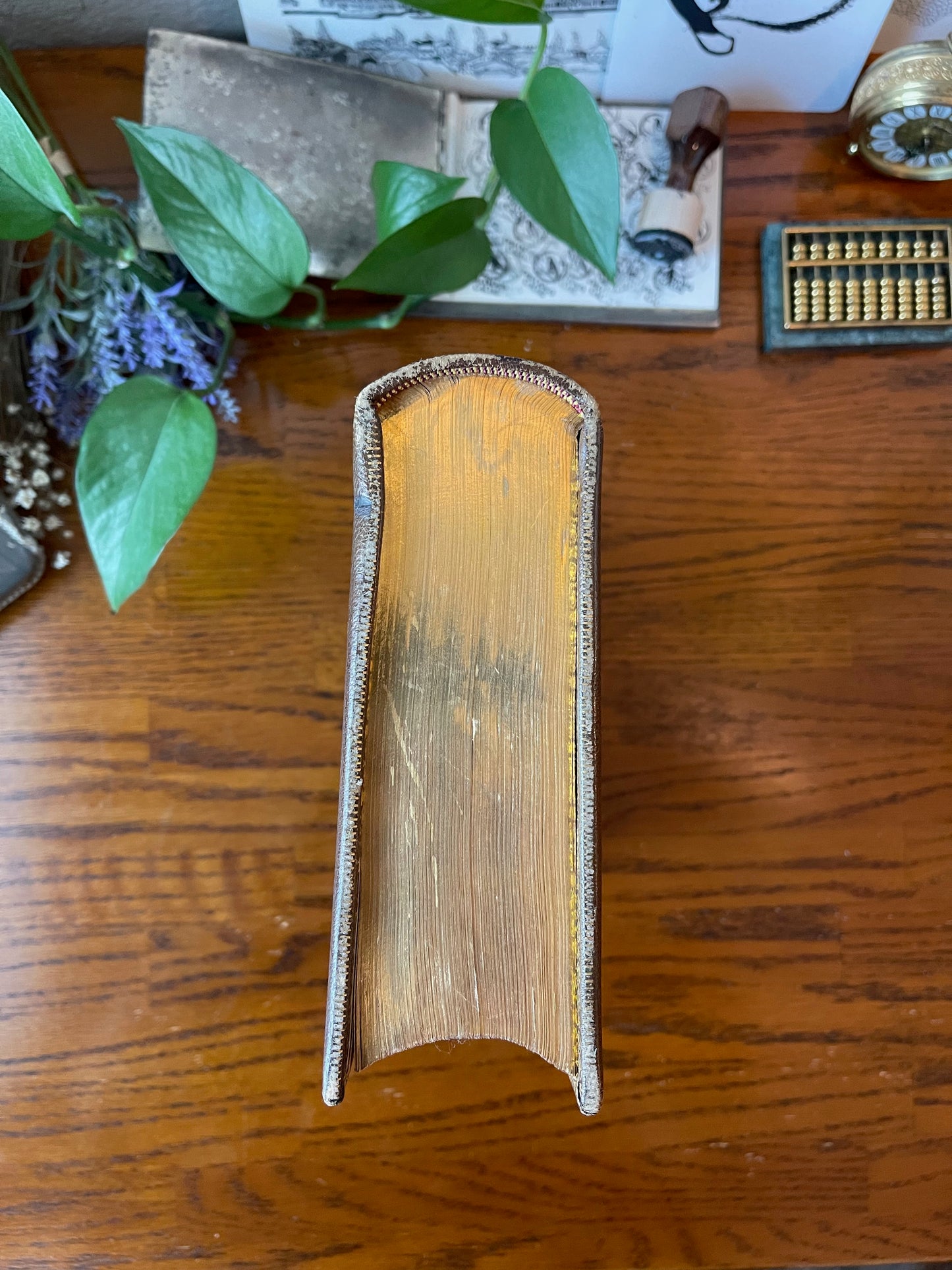 Paradise Lost / Leather Binding / 1868 - Precious Cache