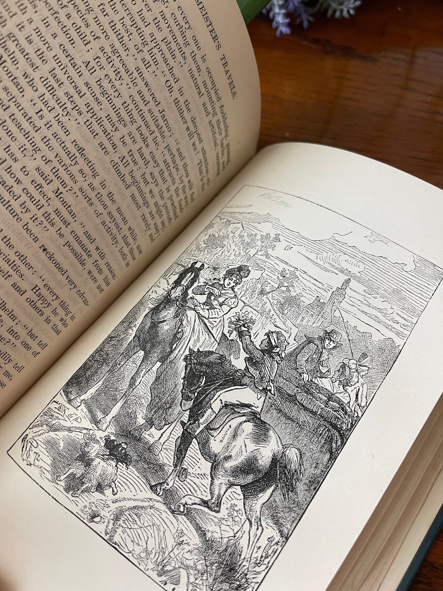 The works of Johann Wolfgang Von Goethe / 5 Volumes / 1882 - Precious Cache